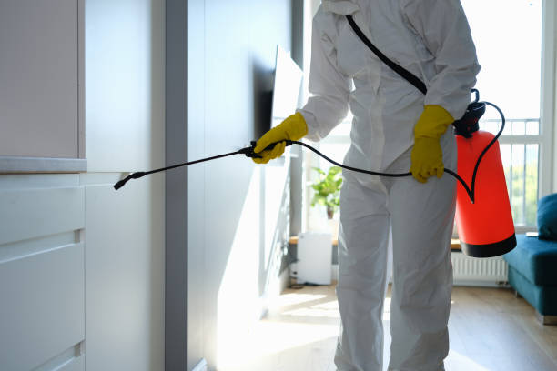 Best Professional Mold Removal  in New Paris, OH