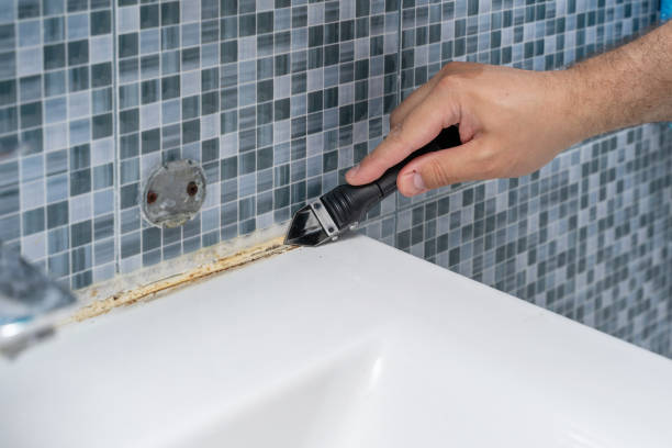 Best Toxic Mold Removal  in New Paris, OH
